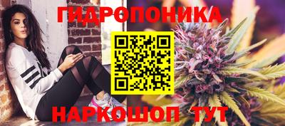 трава Кунгур