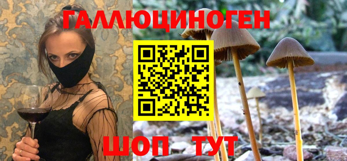 Галлюциногенные грибы Magic Shrooms Калининград